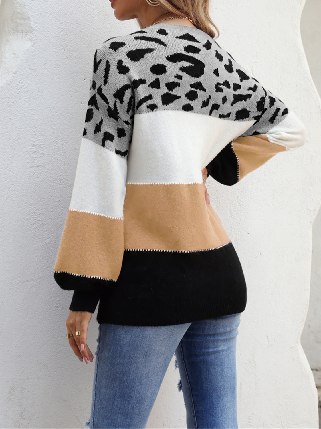 Angel Wings Color Block Round Neck Sweater - The Boutie Shop