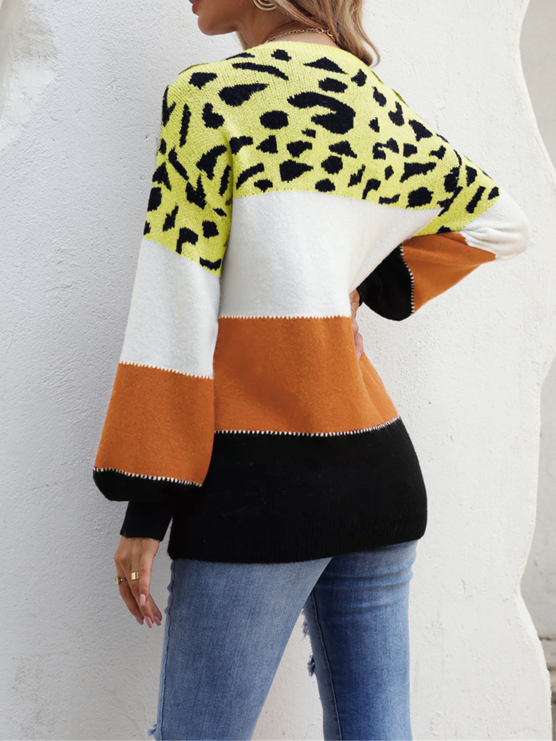 Angel Wings Color Block Round Neck Sweater - The Boutie Shop