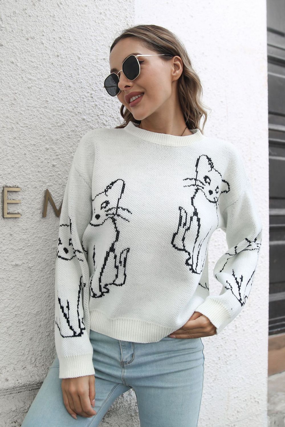 Cat Pattern Round Neck Long Sleeve Pullover Sweater - The Boutie Shop