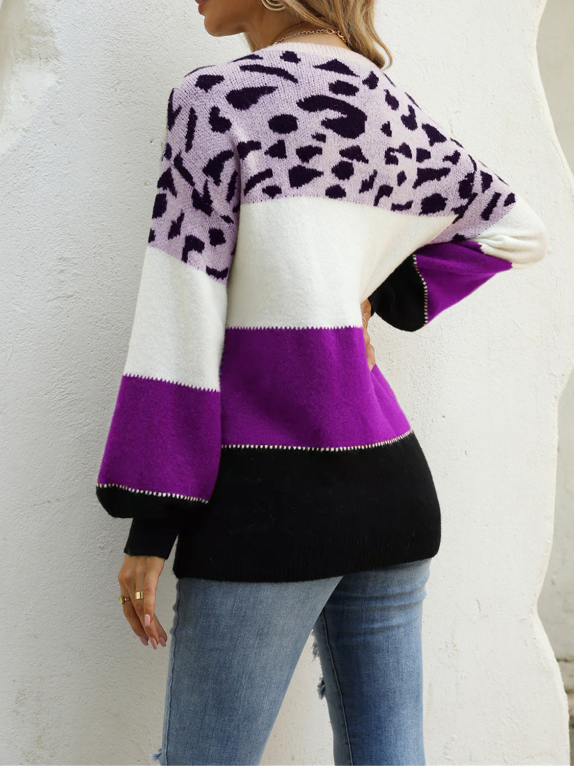 Angel Wings Color Block Round Neck Sweater - The Boutie Shop